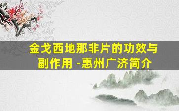 金戈西地那非片的功效与副作用 -惠州广济简介